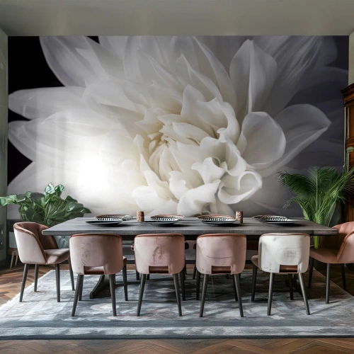 Photo Wallpaper Premium Canvas - Bride's Morning - Flower, Dahlia, Nature - 250x175 cm