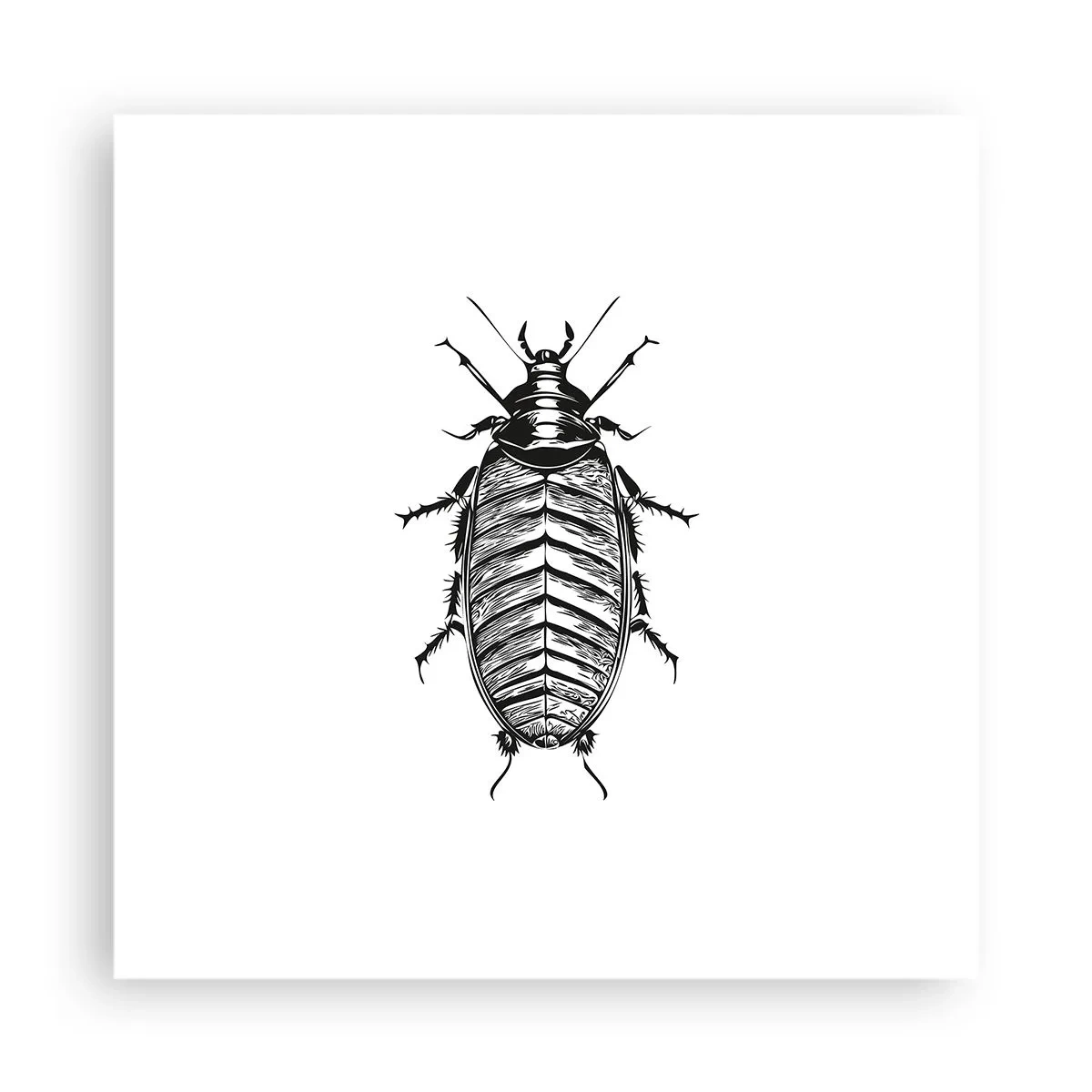 Poster - What a Specimen - 40x40 cm