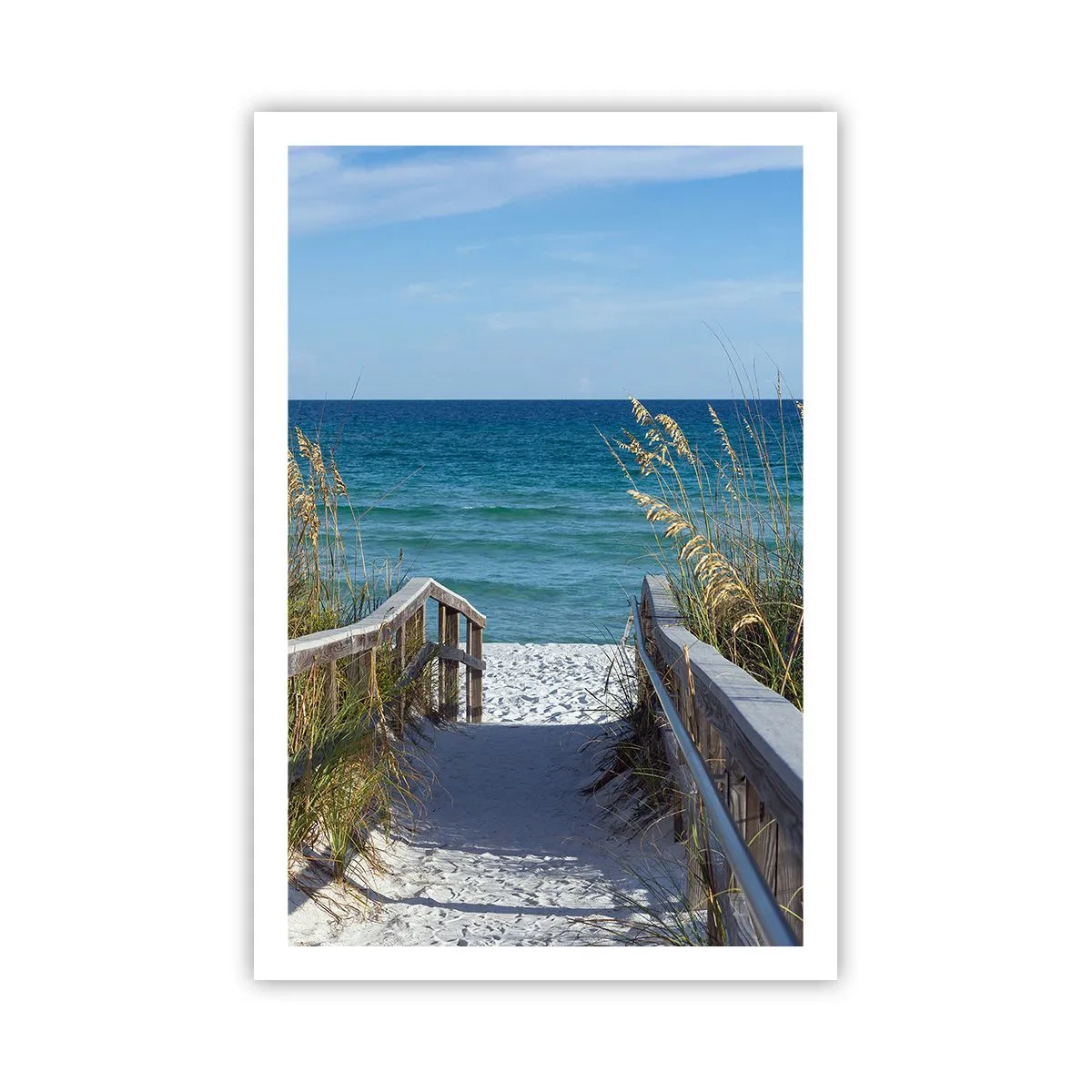 Poster - In the Sun, out in the Wind - 61x91 cm