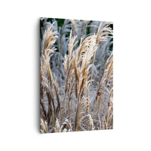 Canvas picture - Decorated with Frost - 50x70 cm