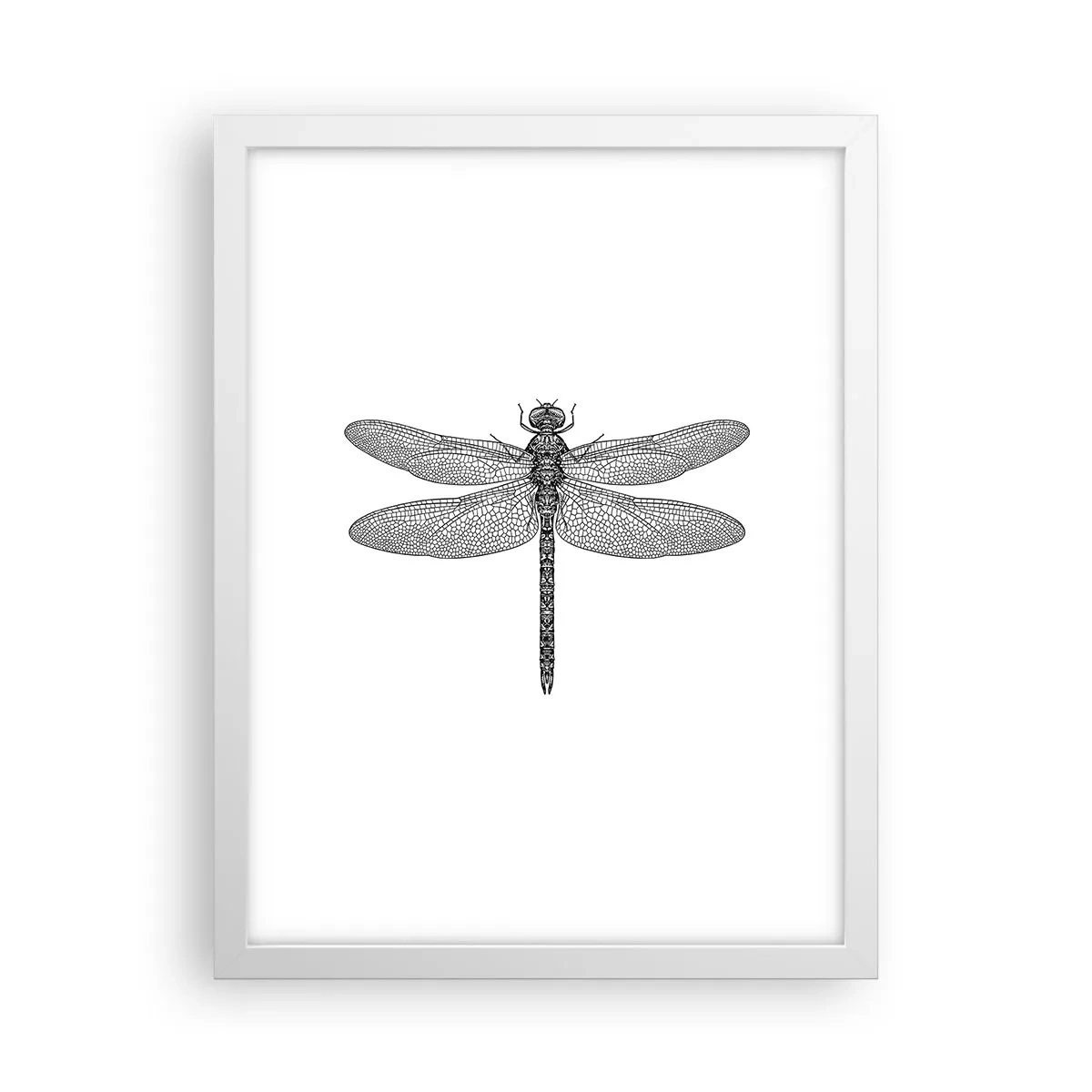 Poster in white frmae - Precision of Nature - 30x40 cm