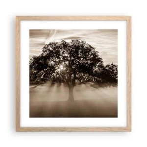 Poster in light oak frame - Tree of Good Knowledge - 40x40 cm