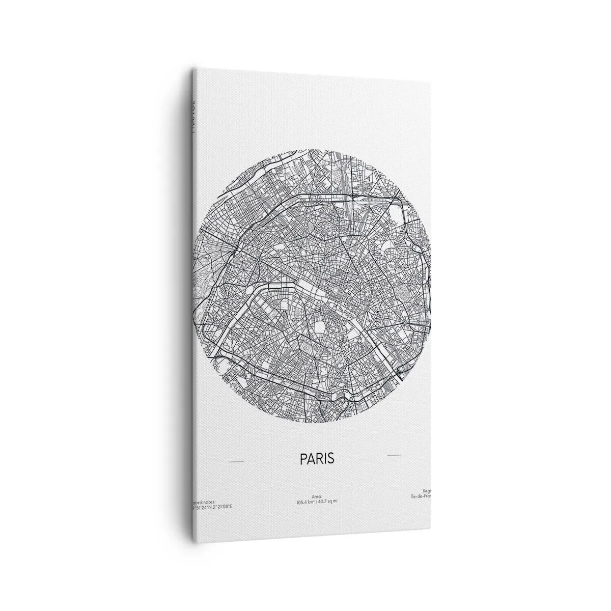 Canvas picture - Anatomy of Paris - 45x80 cm