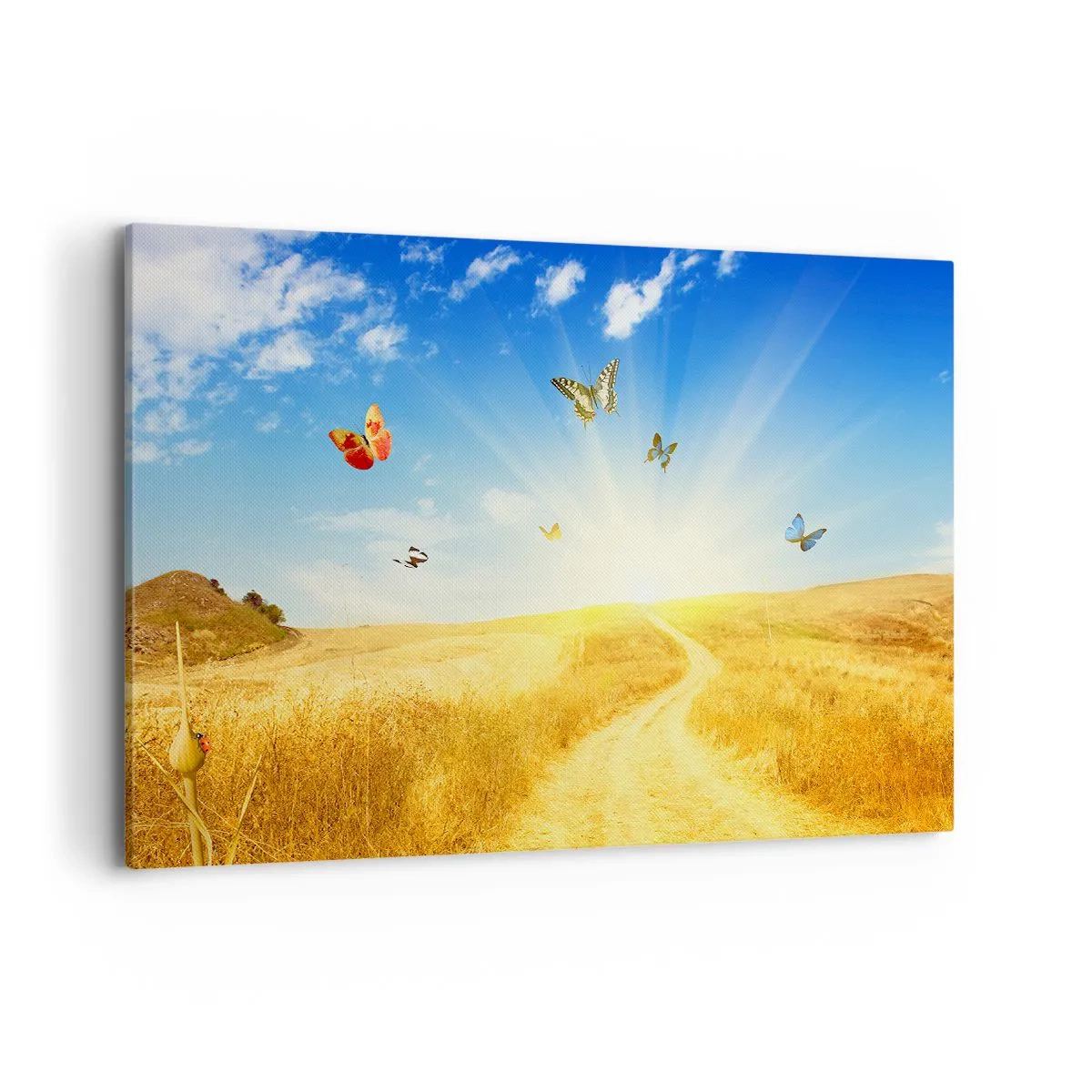 Canvas picture - How Can You Not Love the Summer? - 120x80 cm