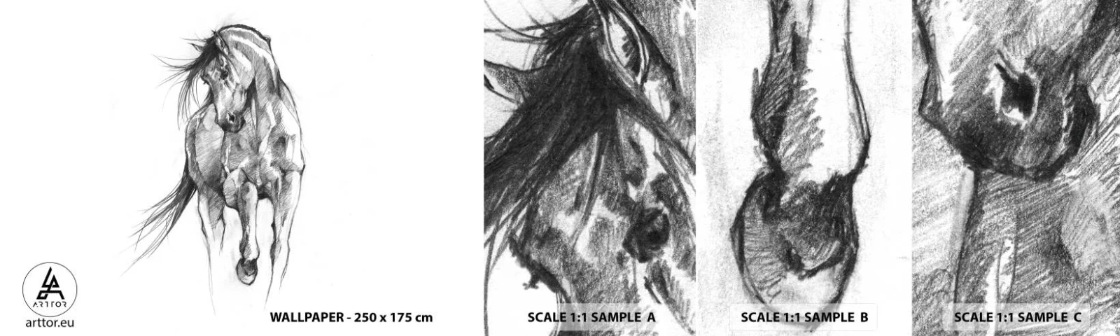 Photo Wallpaper Sample Standard Eco - In a Graceful Trot - Horse, Graphics, Animals - 100x30 cm