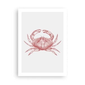 Poster - Crab Like No Other - 50x70 cm