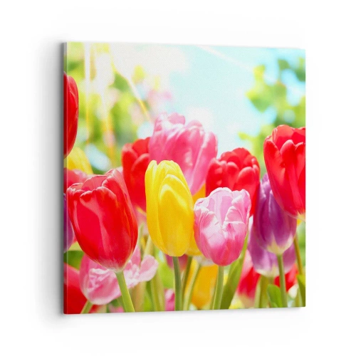 Canvas picture - It is Us, Colour of May! - 70x70 cm