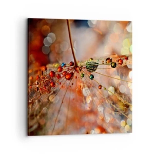 Canvas picture - Strung on a Spider's Web - 70x70 cm