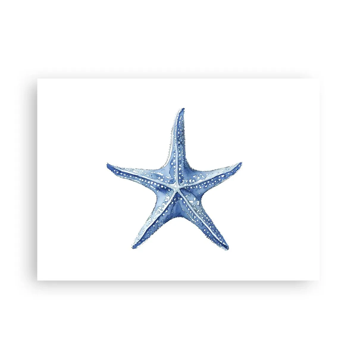 Poster - Sea Star - 70x50 cm