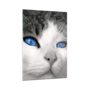 Glass picture - Extremely Blue-eyed - 50x70 cm