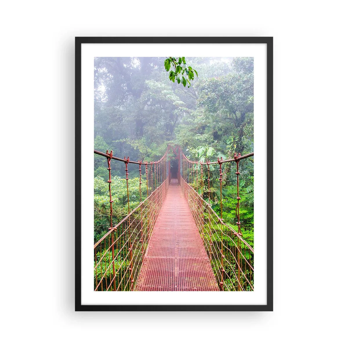 Poster in black frame - A hanging bridge in a tropical forest shrouded in fog - 50x70cm - Suspended above Crowns - Modern wall decoration for the living room and bedroom ARTTOR