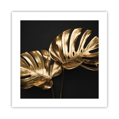 Poster - Tresaures of Nature - 40x40 cm