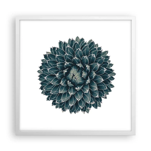 Poster in white frmae - Star of the Desert - 50x50 cm