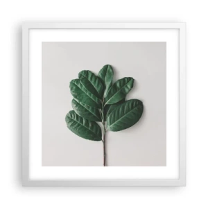 Poster in white frmae - Drawing of Nature Itself - 40x40 cm