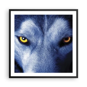 Poster in black frame - Mesmerising Look - 60x60 cm