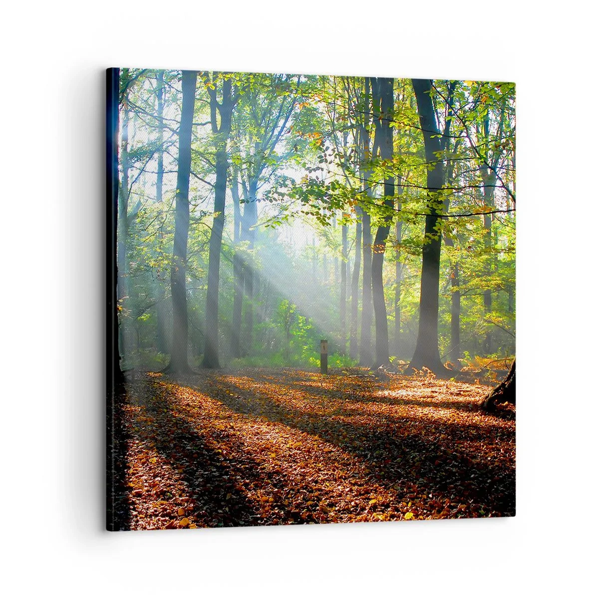 Canvas picture - Highs And Lows - 60x60 cm