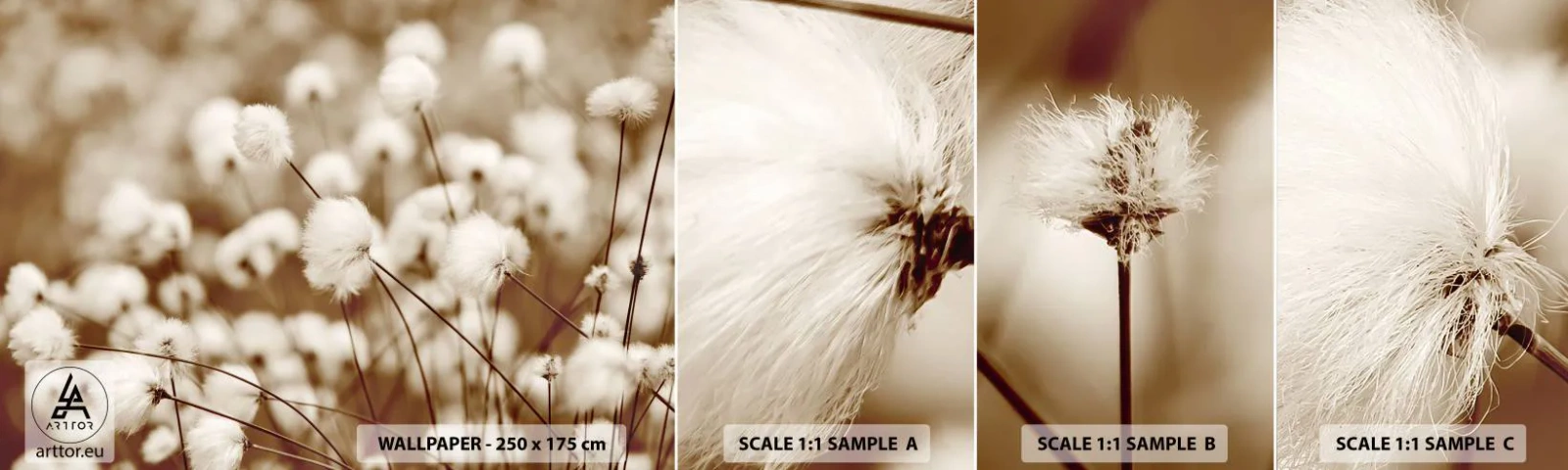 Photo Wallpaper Sample Self-Adhesive Deluxe Sticker - Fluffy field - Cotton Flower, Flower, Cotton Twig - 100x30 cm