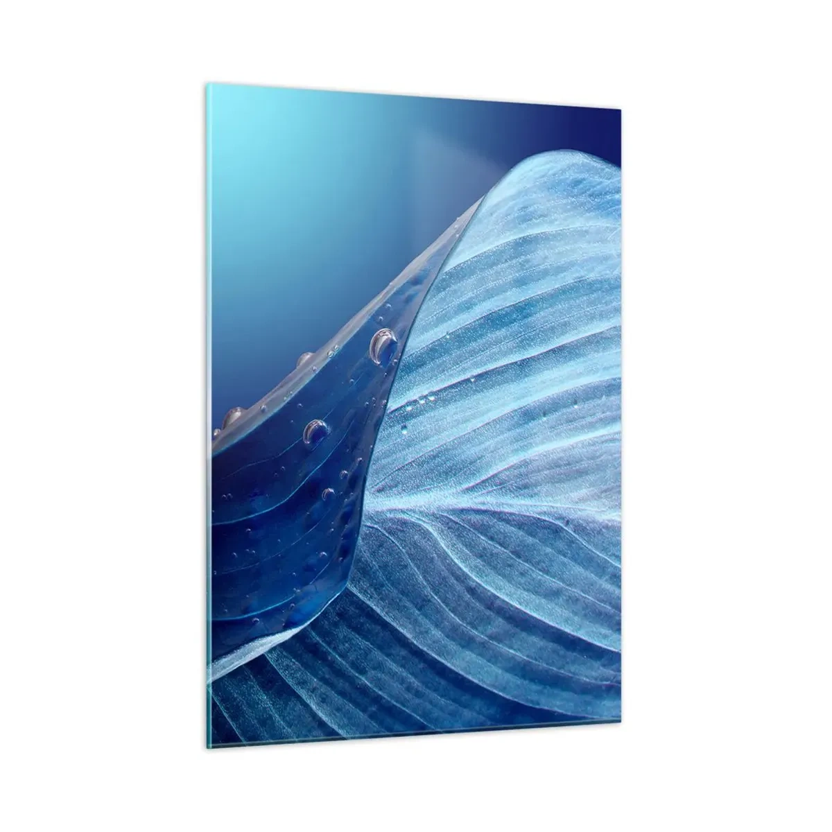 Glass picture - Hidden Drops of Blue - 50x70 cm
