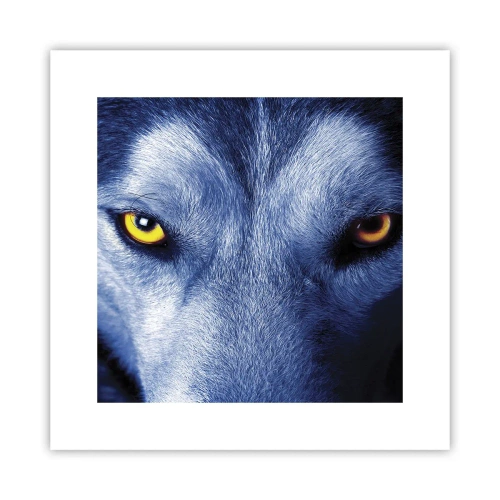 Poster - Mesmerising Look - 30x30 cm