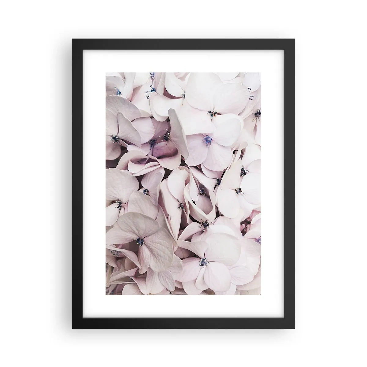 Poster in black frame - In the Flood of Flowers - 30x40 cm