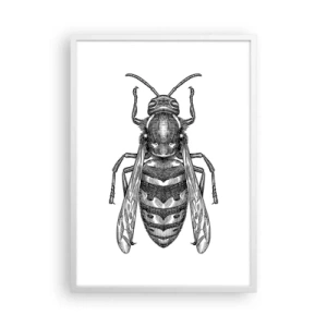 Poster in white frmae - From Insect Planet - 50x70 cm