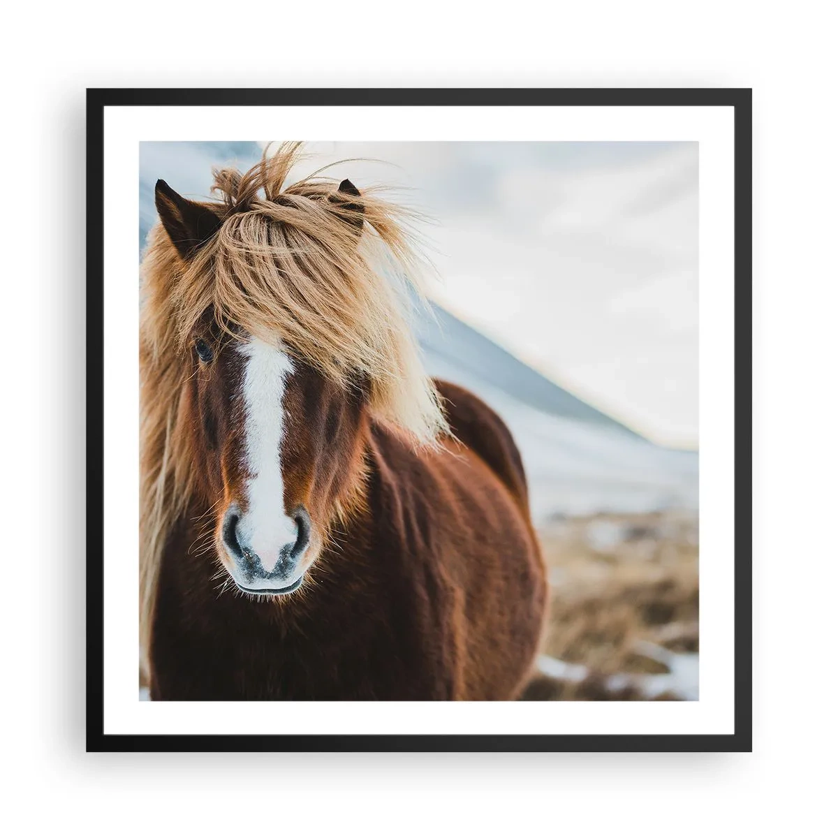 Poster in black frame - Can You Feel the Freedom? - 60x60 cm