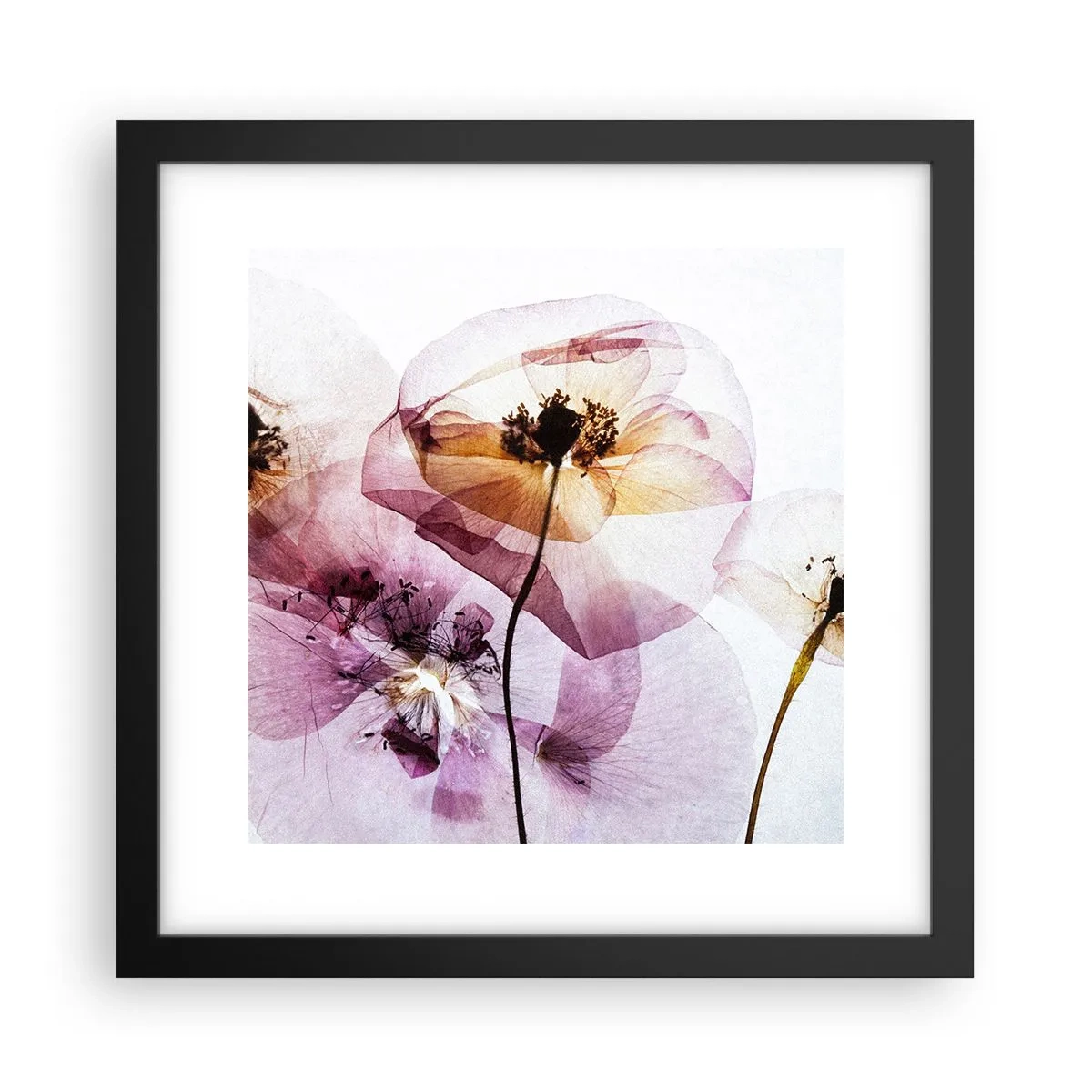 Poster in black frame - Flower Body Slide - 30x30 cm