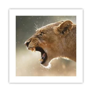 Poster - Try Not to Listen - 40x40 cm