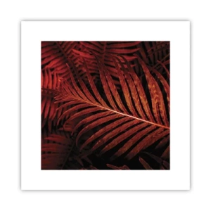 Poster - Heat of Life - 30x30 cm