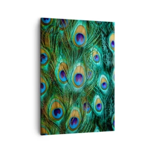 Canvas picture - Peacock Eyes - 50x70 cm