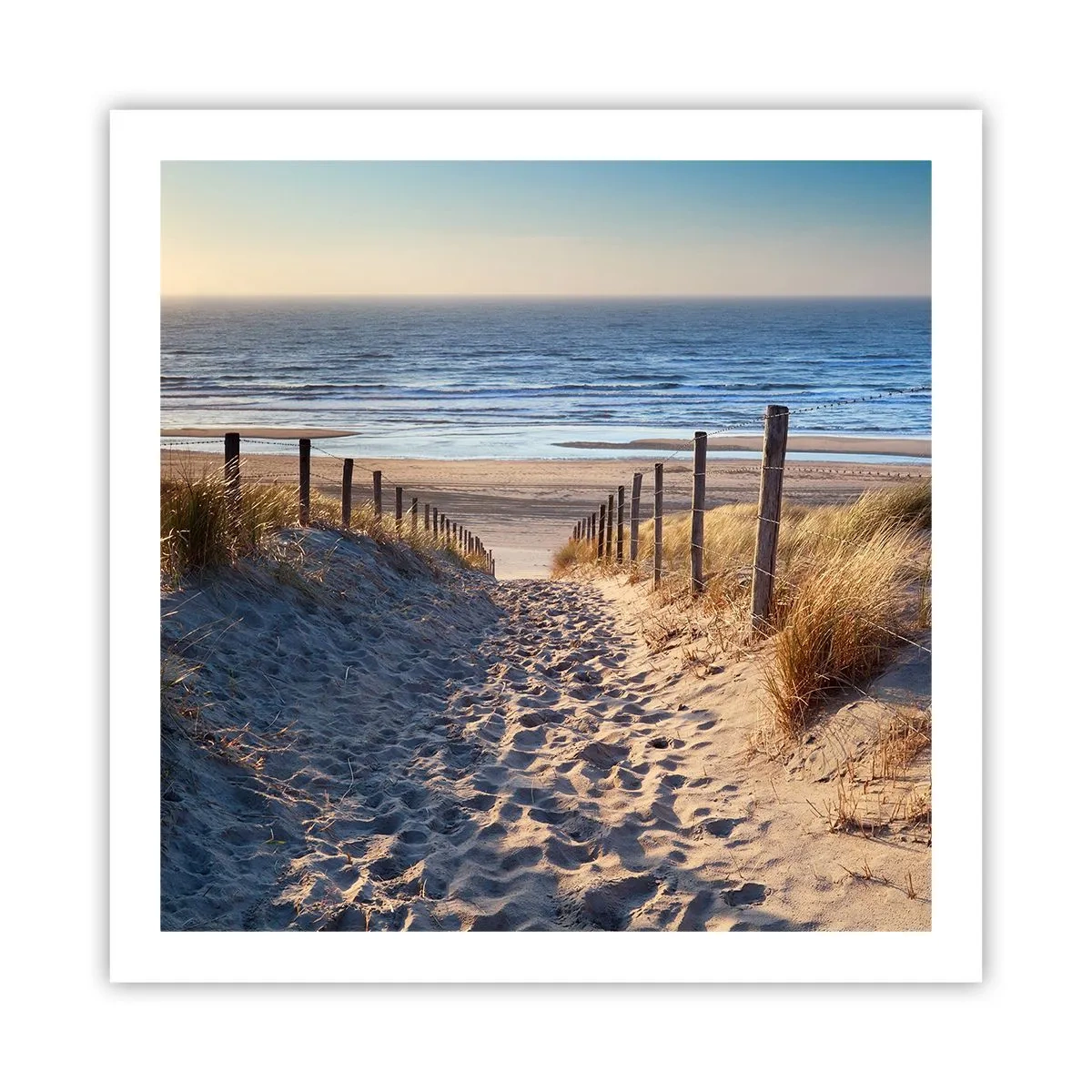Poster - Sound of the Sea, Singing of the Birds, Wild Beach among Grass - 60x60 cm