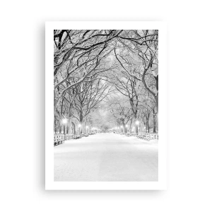 Poster - Four Seasons: Winter - 50x70 cm