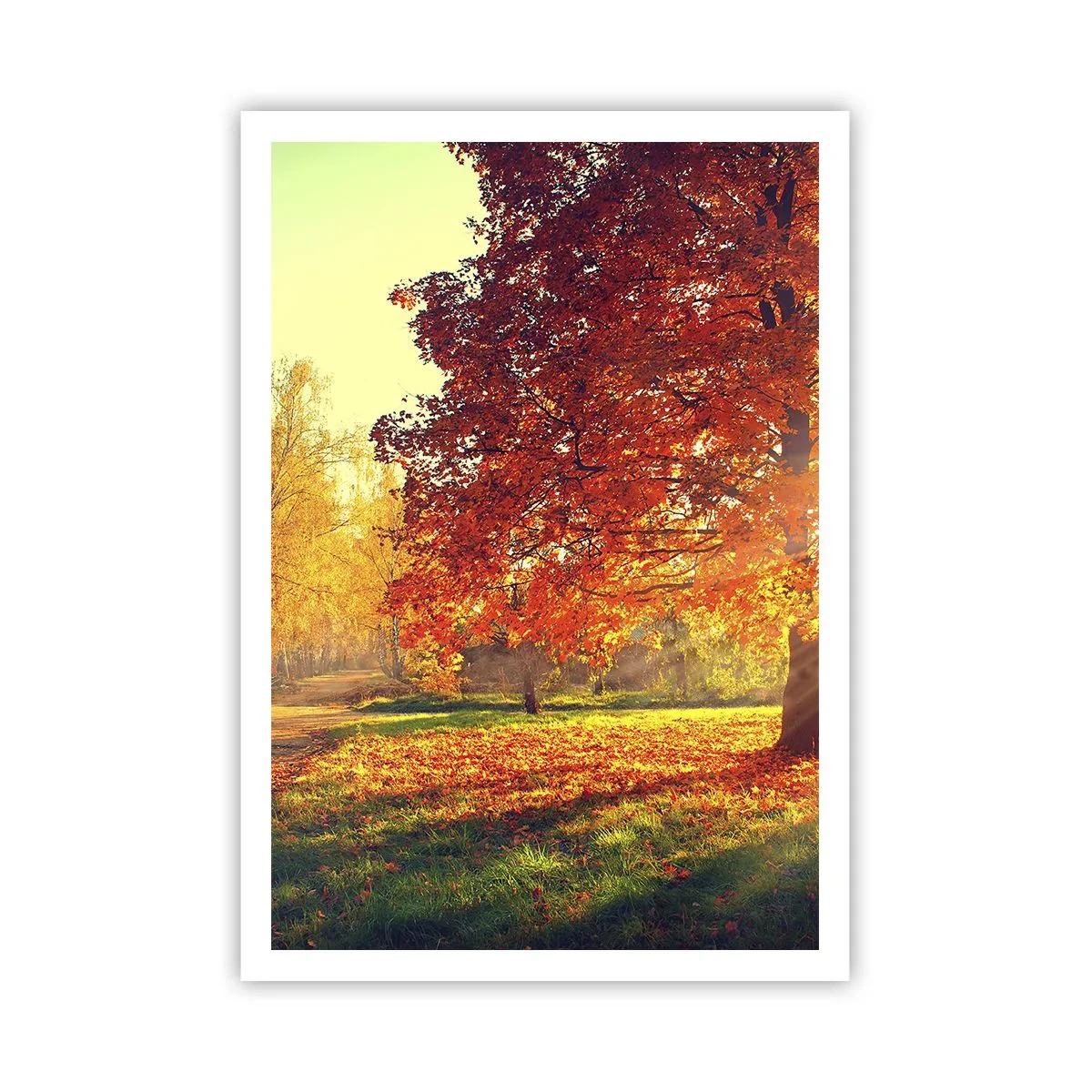 Poster - Ginger Is Beautiful - 70x100 cm