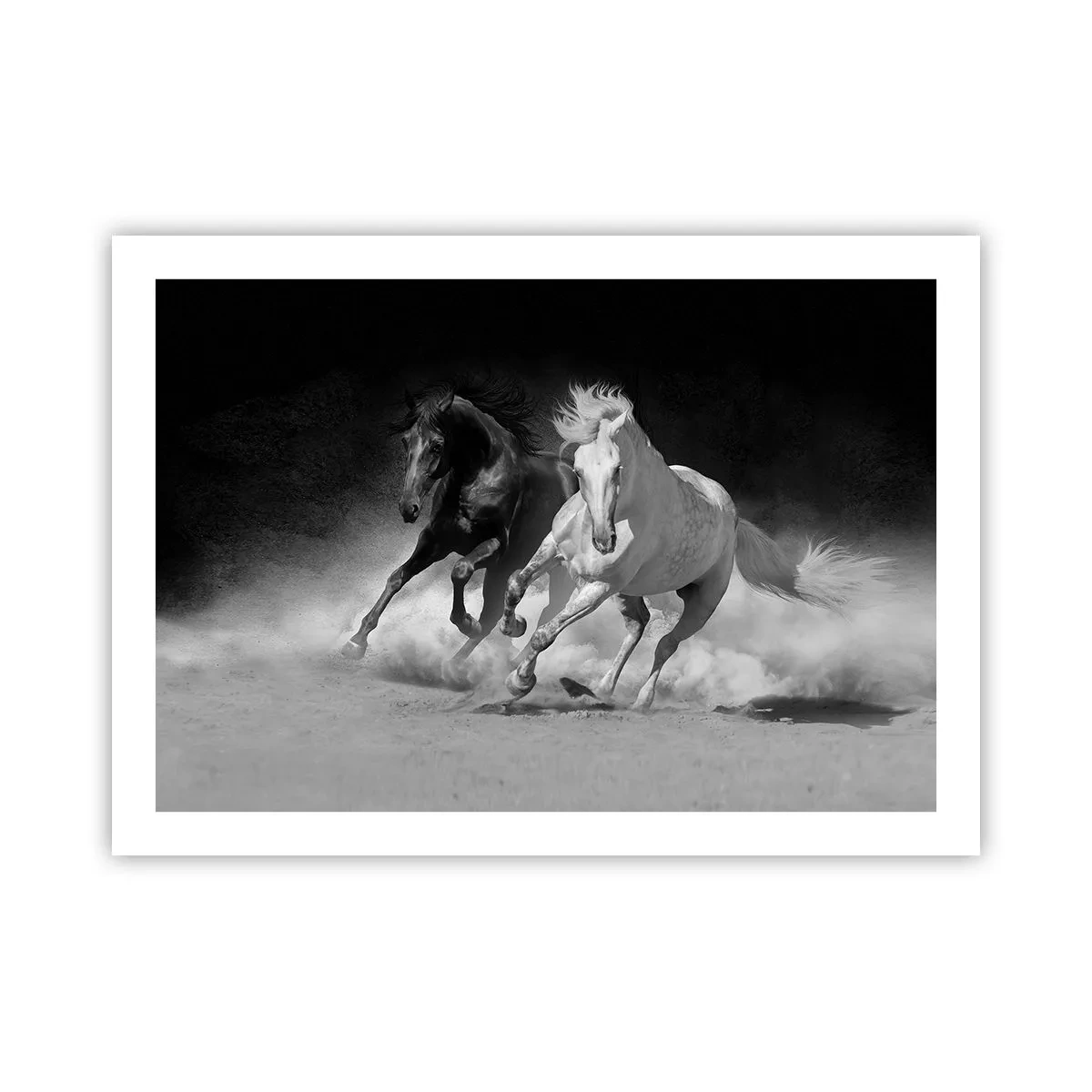 Poster - Gallop of Freedom - 70x50 cm
