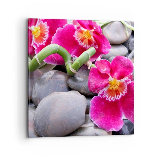 Canvas picture - Coolness and Heat - 70x70 cm