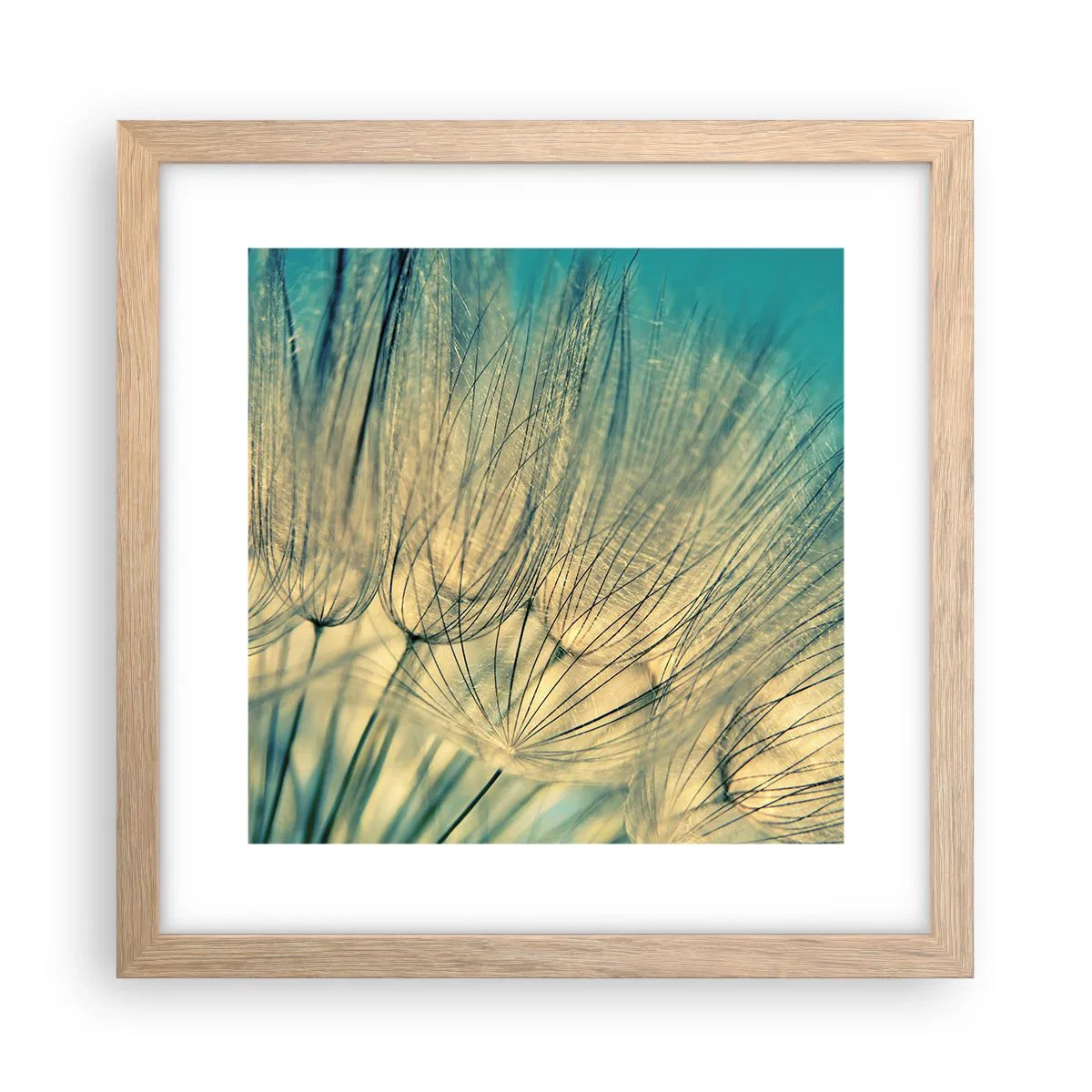 Poster in light oak frame - Waiting for the Wind - 30x30 cm