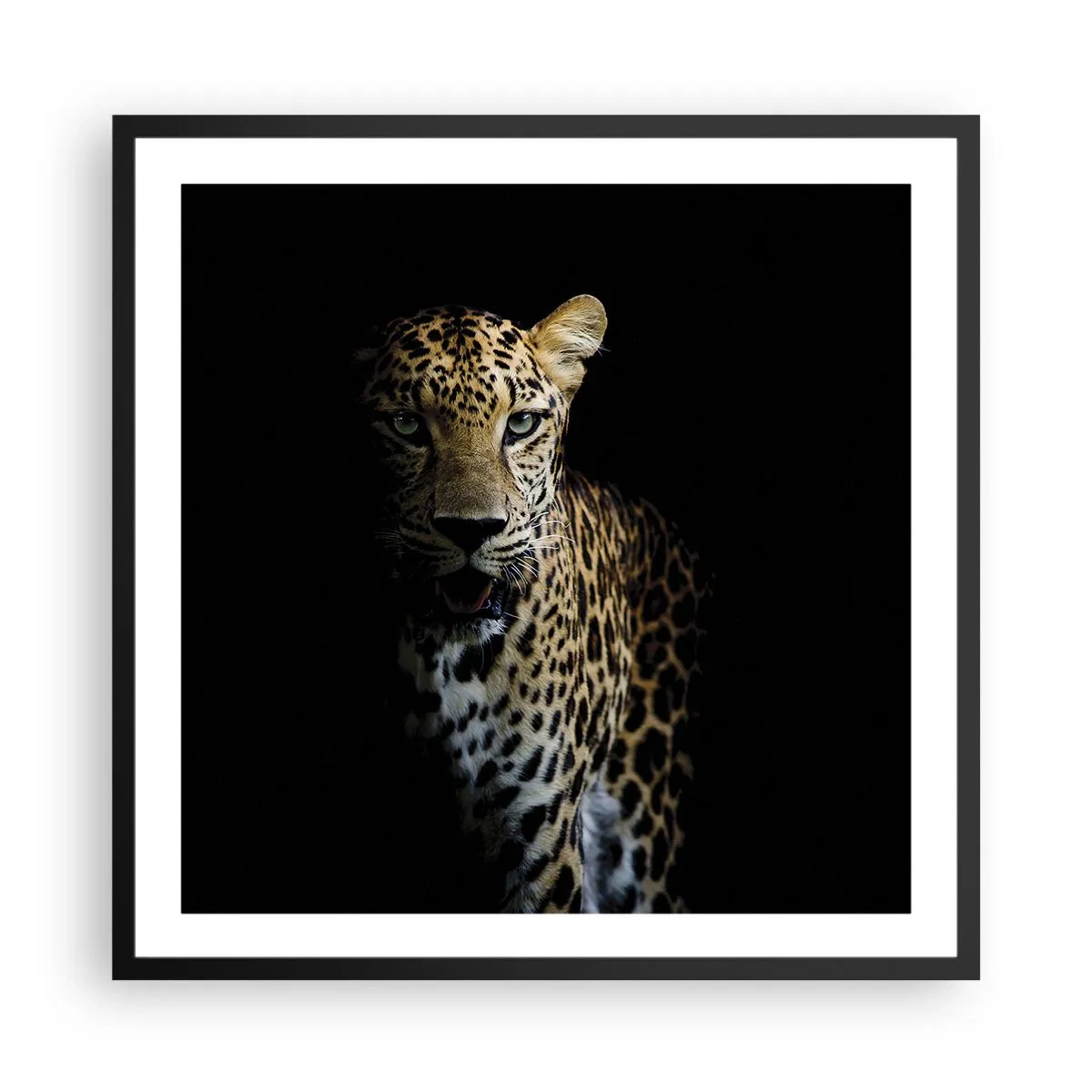 Poster in black frame - Dark Beauty - 60x60 cm