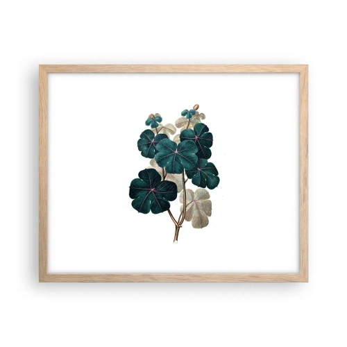 Poster in light oak frame - From the Old Herbarium - 50x40 cm