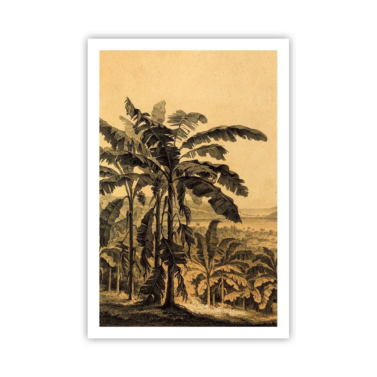 Poster - In Colonial Character - 61x91 cm