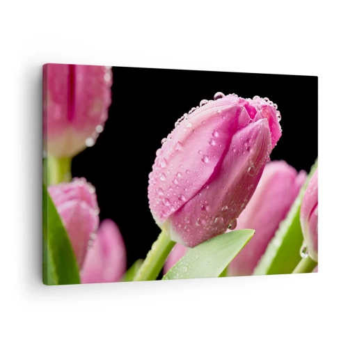 Canvas picture - Pink tulip with water drops on a black background - 70x50cm - Lilac Dream in a Dew - Modern wall decoration for the living room and bedroom ARTTOR