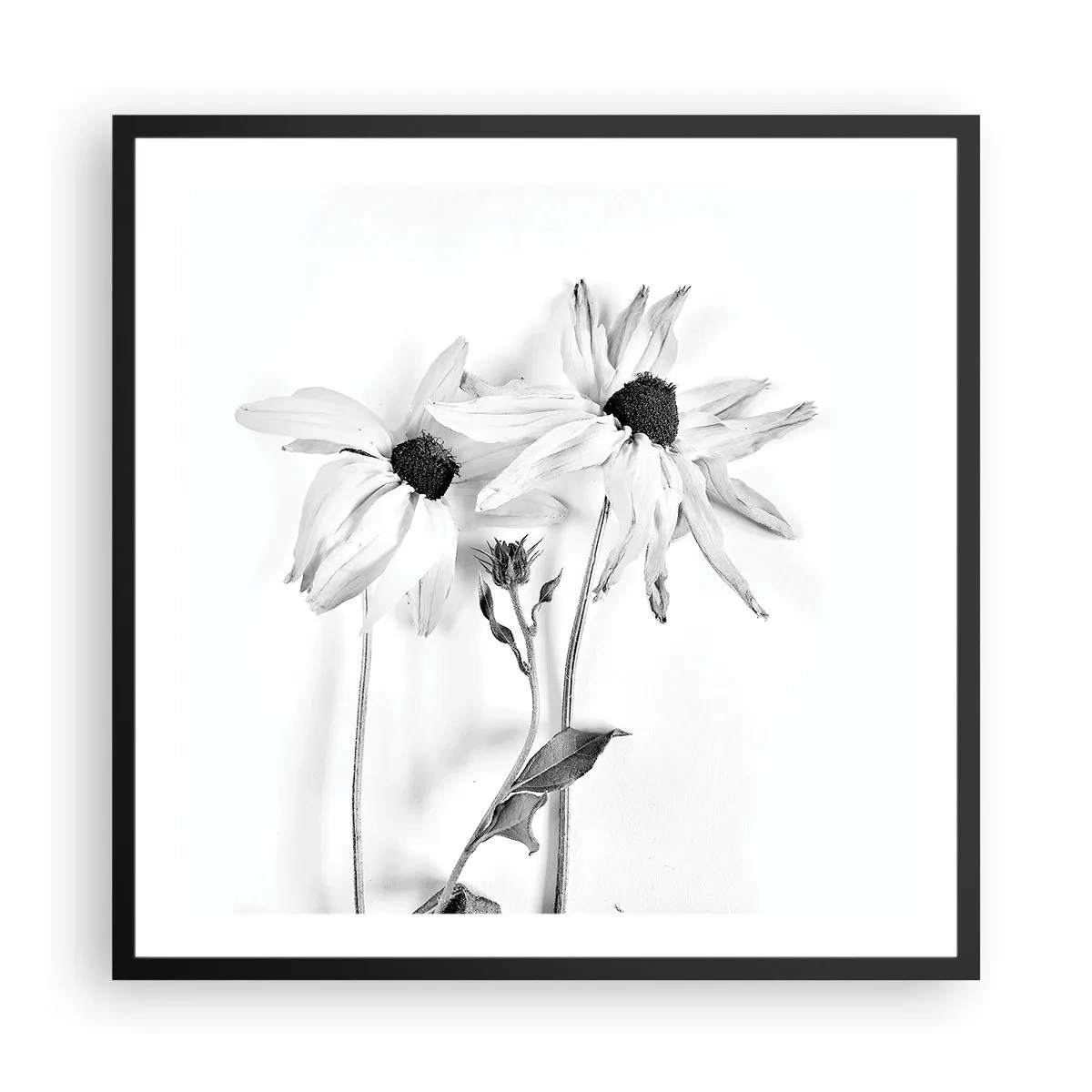 Poster in black frame - No one Wants To Be Alone - 60x60 cm