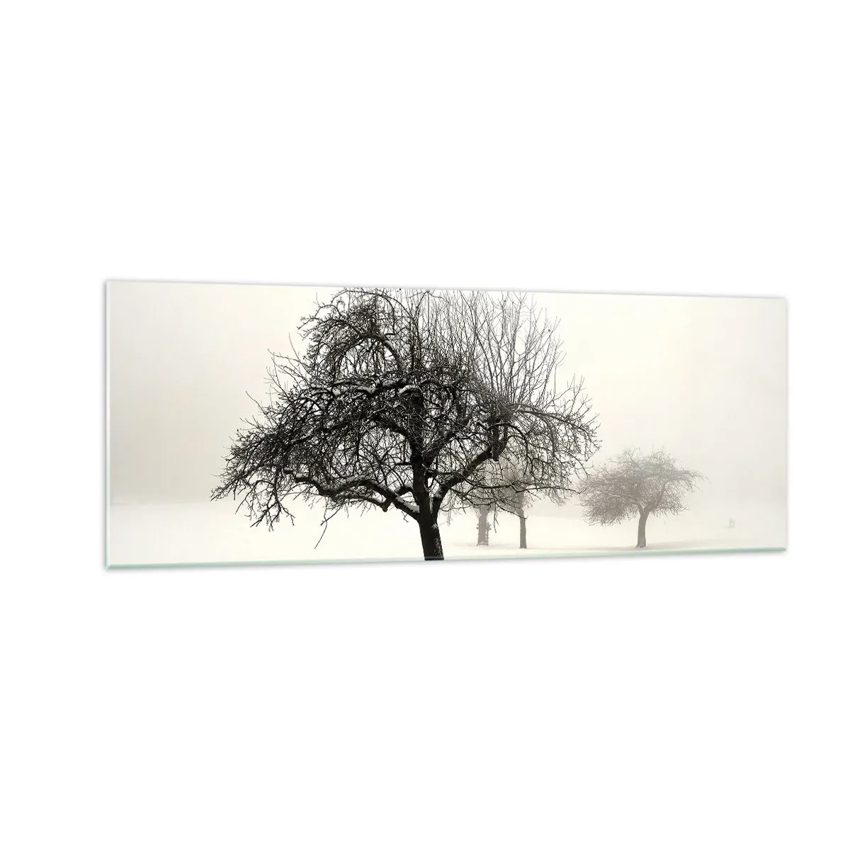 Glass picture - Winter Dream - 140x50 cm
