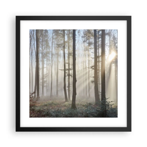 Poster in black frame - Fog Has Woken up Too - 40x40 cm