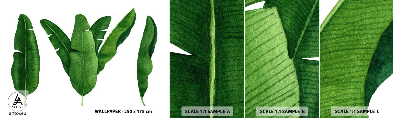 Photo Wallpaper Sample Self-Adhesive Deluxe Sticker - Green Symmetry - Banana Leaf, Tropical, Botanical Style - 100x30 cm
