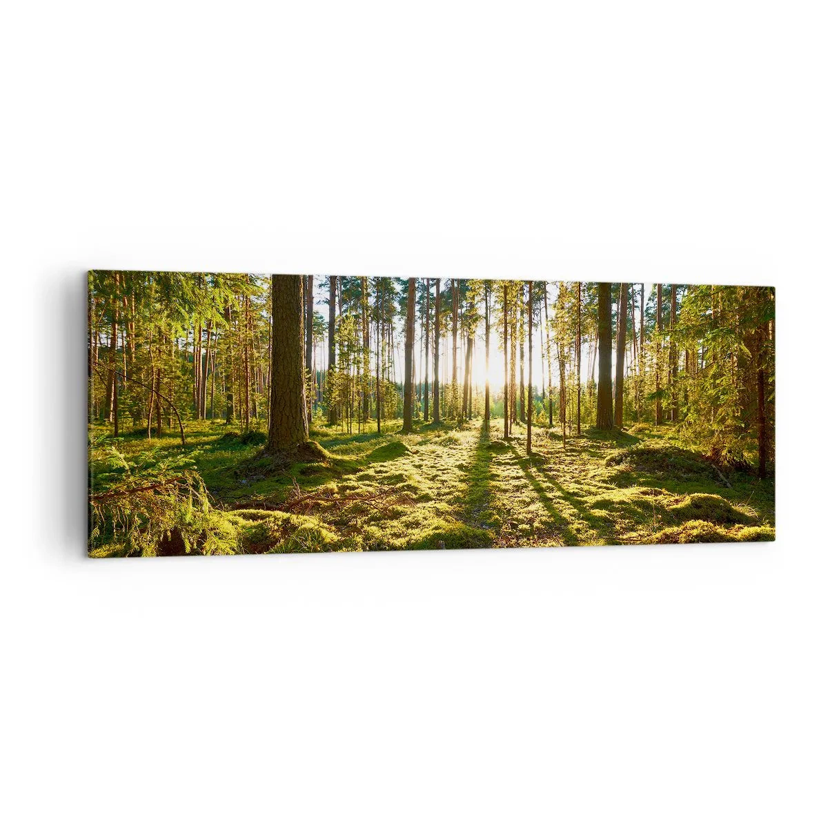 Canvas picture - Deep in the Forest - 140x50 cm