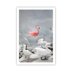 Poster - Where Did I Come from? - 61x91 cm