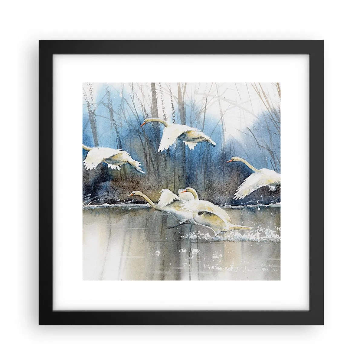 Poster in black frame - Like in a Fairy Tale about Wild Swans - 30x30 cm