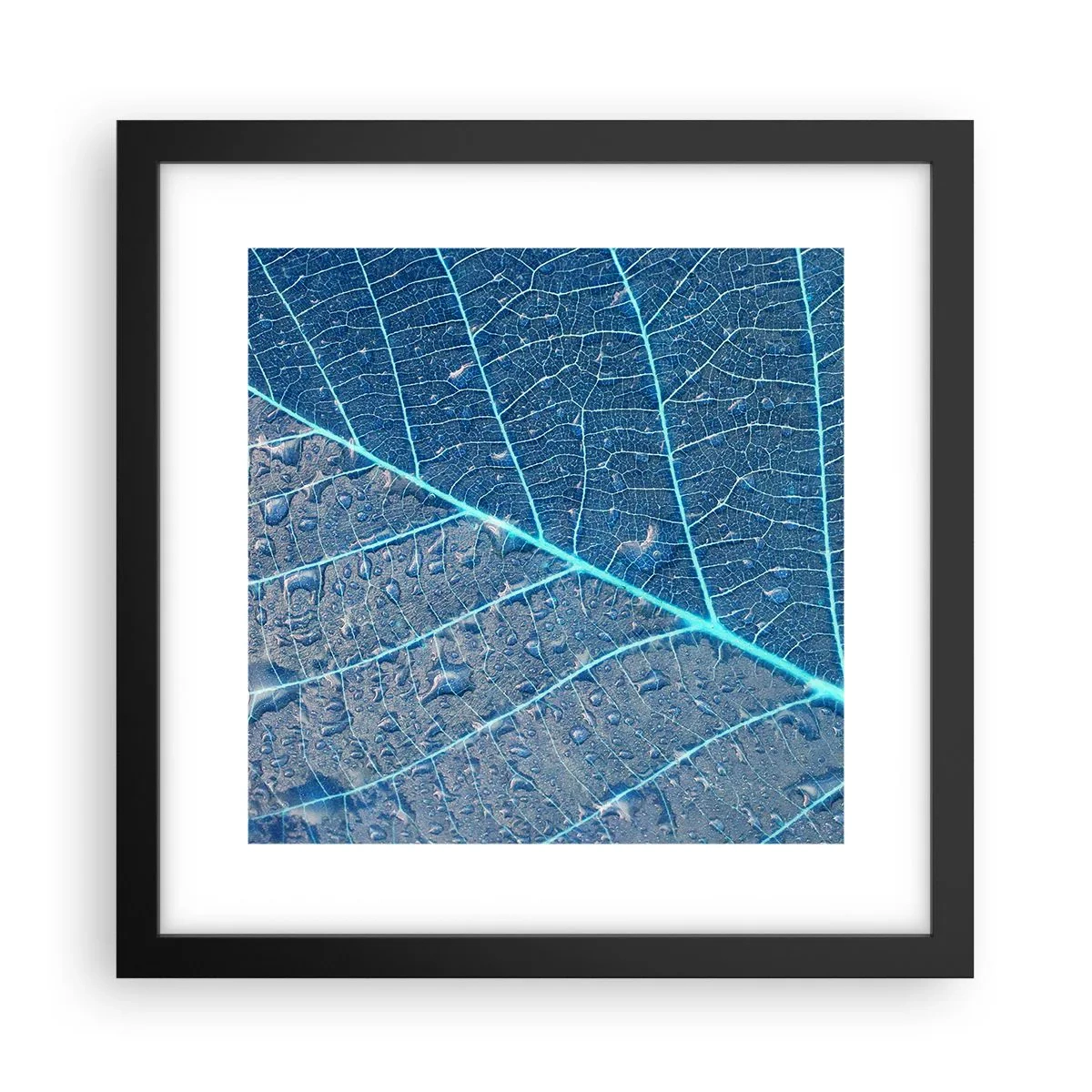 Poster in black frame - Life in the Blue - 30x30 cm