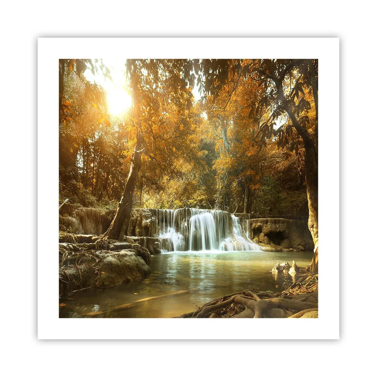 Poster - Park Cascade - 50x50 cm
