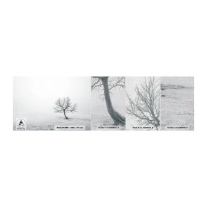 Photo Wallpaper Sample Premium Canvas - Against Nothingness - Landscape, Tree, Nature - 100x30 cm